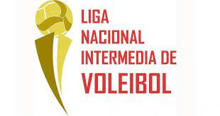 Liga Nacional de Voleibol, Playoffs