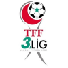 3. Lig Playoffs