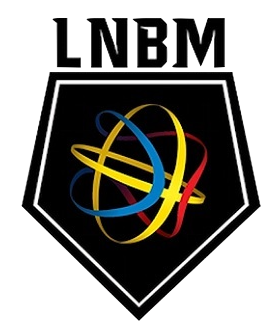 Romania Liga 1