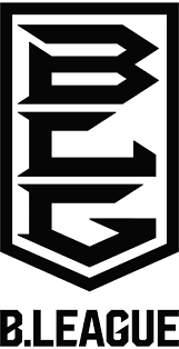 League B3