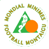 Montaigu Tournament