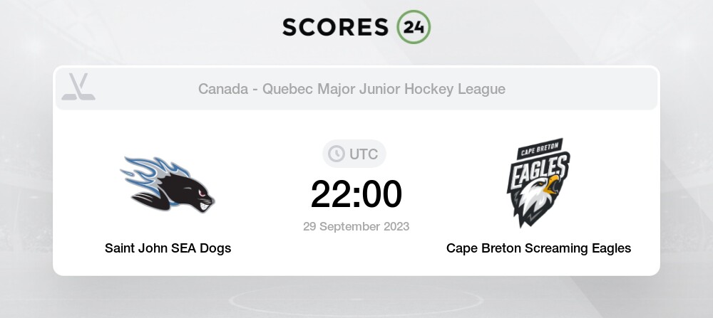 GAME PREVIEW: SEA DOGS VS CAPE BRETON EAGLES - JAN 8th, 2020 - Saint John  Sea Dogs