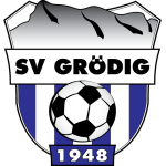 logo Гродиг