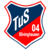 logo Бовингхаузен 04