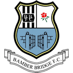 logo Бамбер Бридж