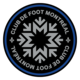 Монреаль Импакт логотип