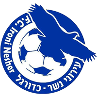 logo Ирони Нешер