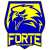 Forte U20