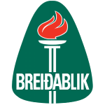 logo Брейдалик (Ж)