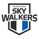 Хендай Скайуокерс