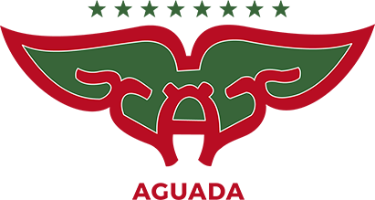 Агуада
