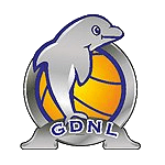 Гуандун Долфинс (Ж) логотип