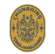 logo Чунцин Тонглианглунг