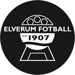 logo Эльверум