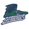 logo Флорида Эверблейдс