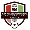 CD Elemental Atletico Mineros