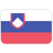 logo Словения U17