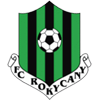 logo ФК Рокицани
