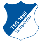 logo Хоффенхайм до 19