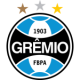 logo Гремио СРЛ