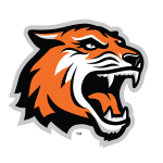 Рочестерский институт