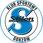 logo Стилон Гожув