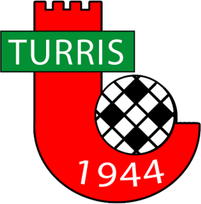 Туррис логотип