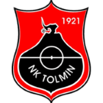 logo Толмин