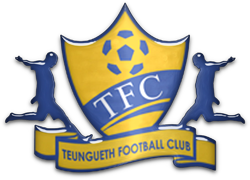 logo Тенгет