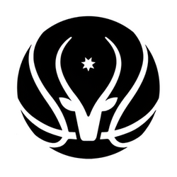 Амман Юнайтед