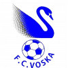 logo Вошка Спорт