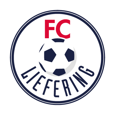 logo Лиферинг