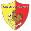logo Галлиполи