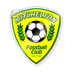 logo Митчелтон