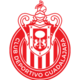 logo Гвадалахара