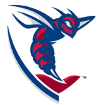 Университет Шенандоа Хорнетс