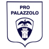 logo Палаццоло