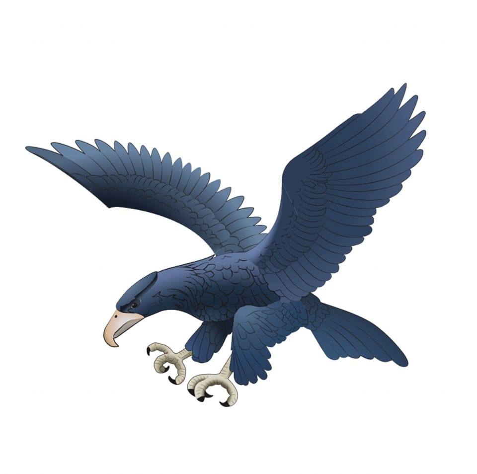 Атенео Блю Иглз