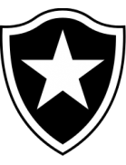 logo Ботафого (Ж)