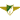 Moreirense FC SRL
