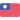 Chinese Taipei Univ. Team