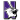 Northwestern Wildcats