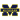 Michigan Wolverines