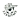Забытые