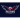 Newcastle Falcons (W)