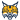 Quinnipiac Bobcats (N)