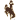 Wyoming Cowboys