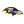 Baltimore Ravens