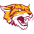 Bethune Cookman Wildcats