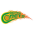 Sydney Comets (W)